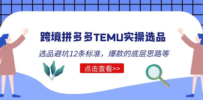 （5402期）跨境拼多多TEMU实操选品运营方法，选品避坑12条标准，爆款的底层思路等-副业网
