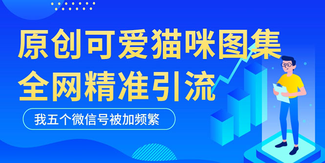 (5498期)黑科技纯原创可爱猫咪图片,全网精准引流,实操5个VX号被加频繁-副业网