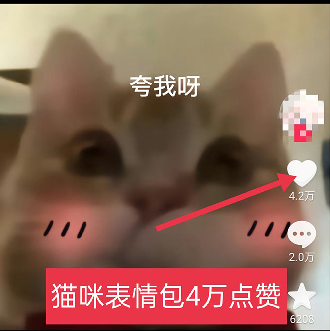 图片[3]-（5498期）黑科技纯原创可爱猫咪图片，全网精准引流，实操5个VX号被加频繁-副业网