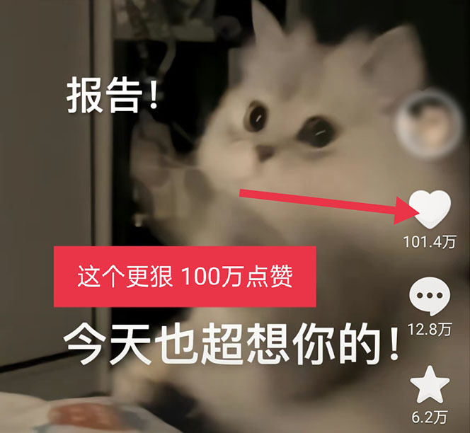 图片[4]-（5498期）黑科技纯原创可爱猫咪图片，全网精准引流，实操5个VX号被加频繁-副业网