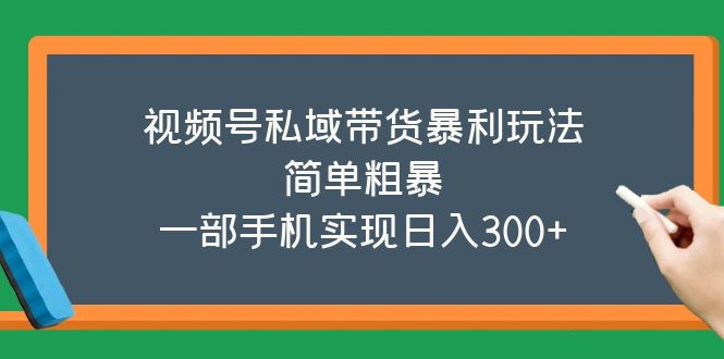 （5544期）视频号私域带货暴利玩法，简单粗暴，一部手机实现日入300+-副业网