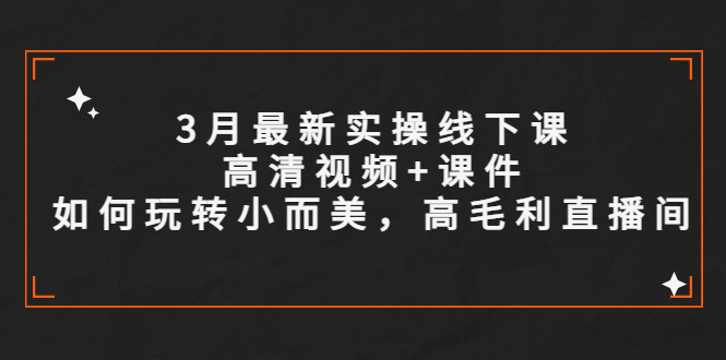 （5597期）3月最新实操线下课高清视频+课件，如何玩转小而美，高毛利直播间-副业网