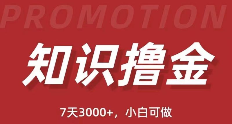 （5629期）抖音知识撸金项目：简单粗暴日入1000+执行力强当天见收益(教程+资料)-副业网
