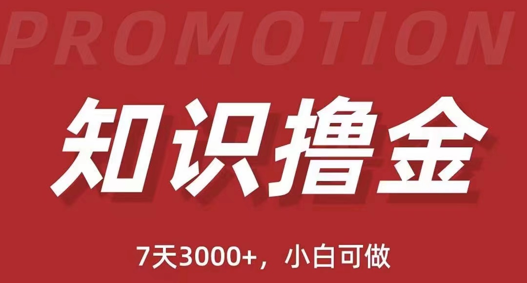 图片[1]-（5629期）抖音知识撸金项目：简单粗暴日入1000+执行力强当天见收益(教程+资料)-副业网