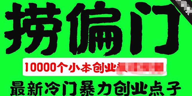 （5750期）千款捞偏门小本创业小项目，总有一款适合你【无水印】-副业网