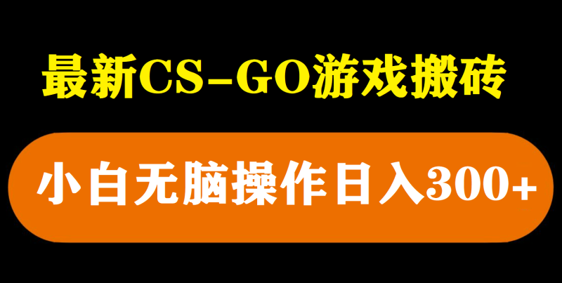 （5760期）最新csgo游戏搬砖游戏，无需挂机小白无脑也能日入300+-副业网