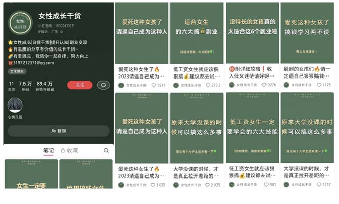 图片[3]-（5852期）小红书各行业引流玩法，从养号到制作到引流等，一条龙分享给你-副业网