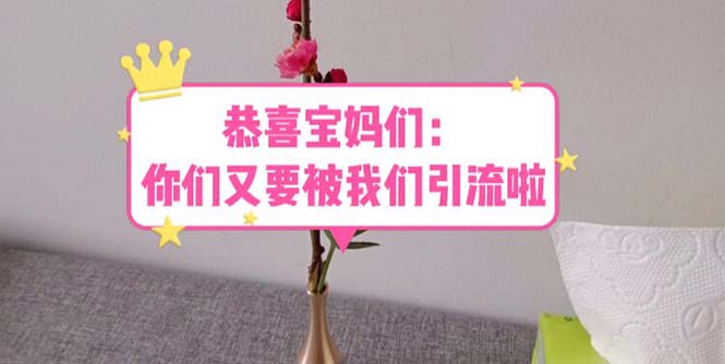 （5891期）恭喜宝妈们：你们又要被我们引流了（教程+222g资料）-副业网