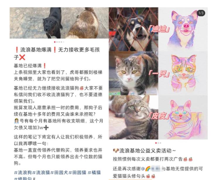 图片[2]-（5867期）小红书蓝海类赛道：小动物打赏与购买变现副业项目，一条龙玩法分享给你！-副业网