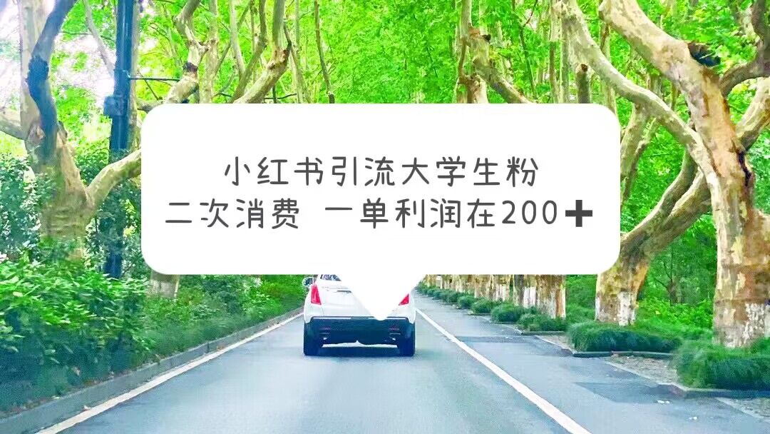 图片[1]-（5914期）小红书引流大学生粉，变现项目，一单利润在200+（教程+资源）-副业网