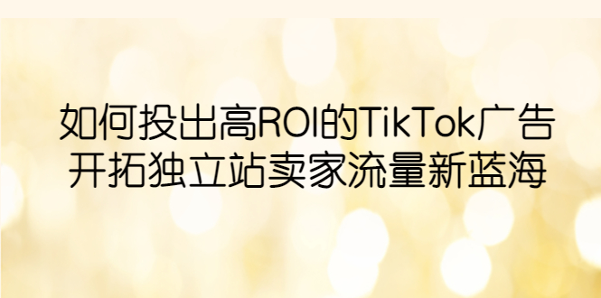 （6102期）如何投出高ROI·TikTok广告，开拓独立站卖家流量新蓝海-副业网