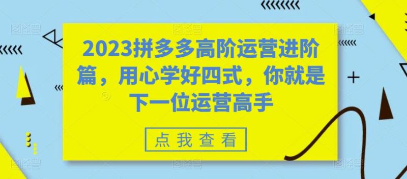 （6193期）2023拼多多高阶运营进阶篇，用心学好四式，你就是下一位运营高手-副业网