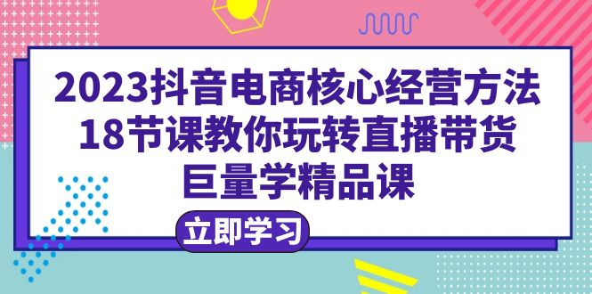 （6309期）2023抖音电商核心经营方法：18节课教你玩转直播带货，巨量学精品课-副业网