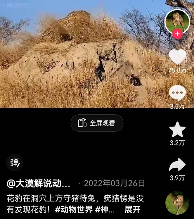 图片[2]-（6312期）外面卖1699的国外纪录片解说（动物解说、美食、动画片）稳过中视频-副业网