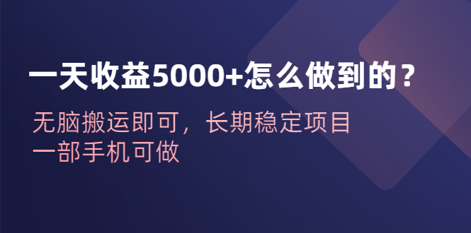 （6435期）一天收益5000+怎么做到的？无脑搬运即可，长期稳定项目，一部手机可做-副业网