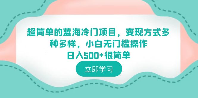 （6422期）超简单的蓝海冷门项目，变现方式多种多样，小白无门槛操作日入500+很简单-副业网
