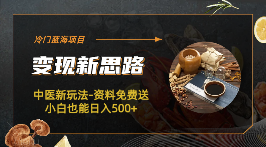 图片[1]-（6452期）冷门蓝海项目-中医新玩法-资料免费送小白也能日入500+-副业网