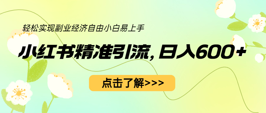 图片[1]-（6515期）小红书精准引流，小白日入600+，轻松实现副业经济自由（教程+1153G资源）-副业网