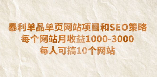 （6503期）暴利单品单页网站项目和SEO策略  每个网站月收益1000-3000  每人可搞10个-副业网