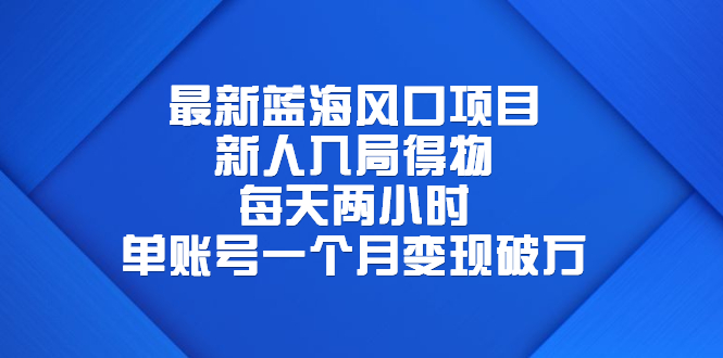 （6514期）最新蓝海风口项目，新人入局得物，每天两小时，单账号一个月变现破万-副业网