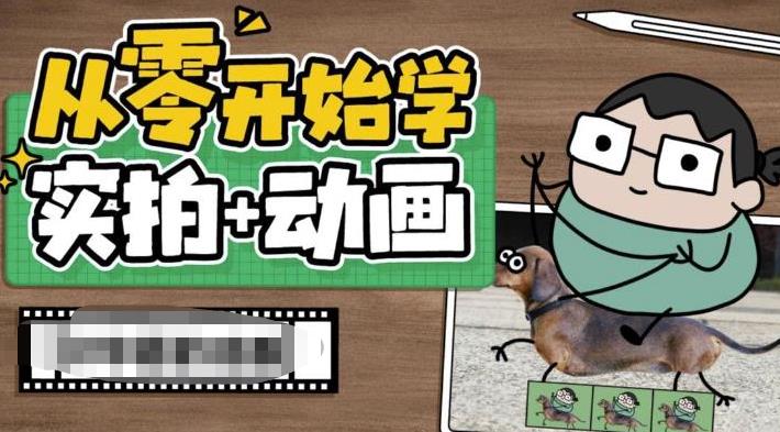 （6570期）从零开始学实拍加动画，实拍加动画创意教程（49节视频课）-副业网