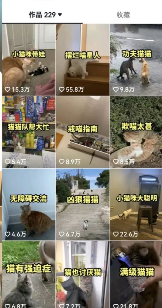 图片[3]-（6568期）拆解：抖音盘点类中视频变现副业项目，视频版一条龙大解析分享给你-副业网
