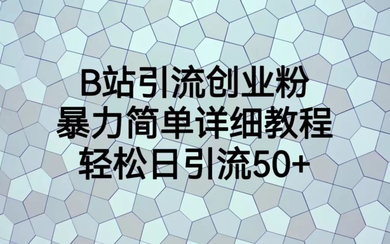 （6639期）B站引流创业粉，暴力简单详细教程，轻松日引流50+-副业网