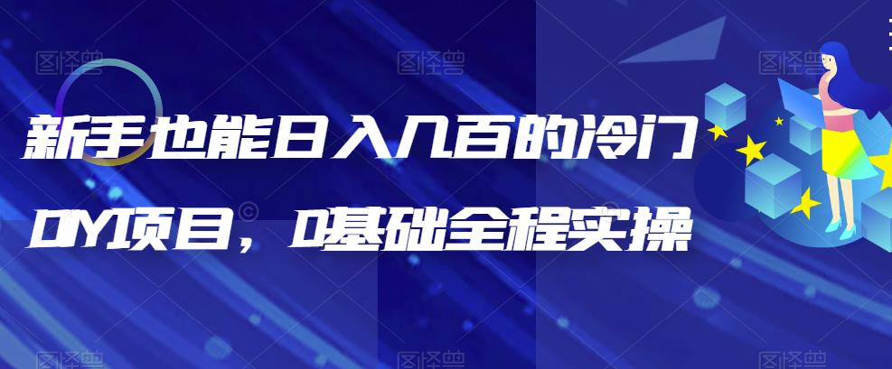 图片[1]-（6630期）新手也能日入几百的冷门DIY项目，0基础全程实操【揭秘】-副业网