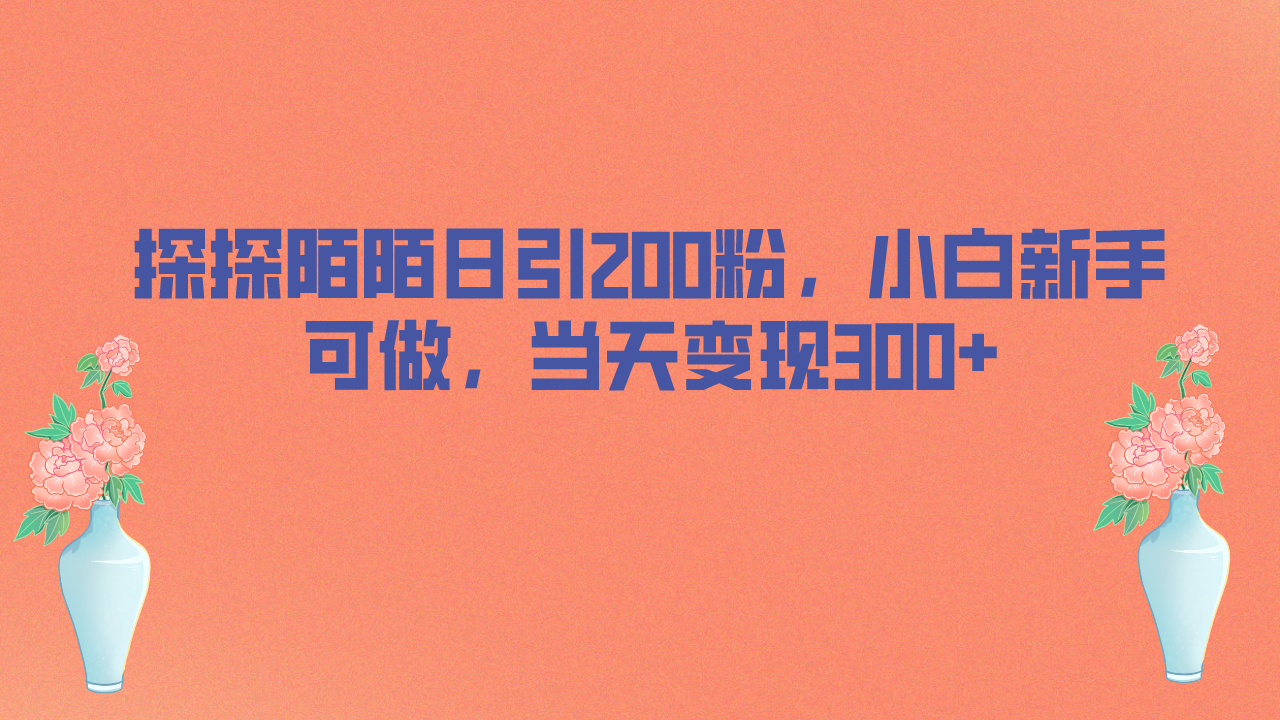 图片[1]-（6817期）探探陌陌日引200粉，小白新手可做，当天就能变现300+-副业网