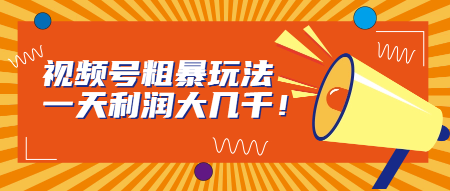 图片[1]-（6941期）视频号粗暴玩法，一天利润大几千！-副业网