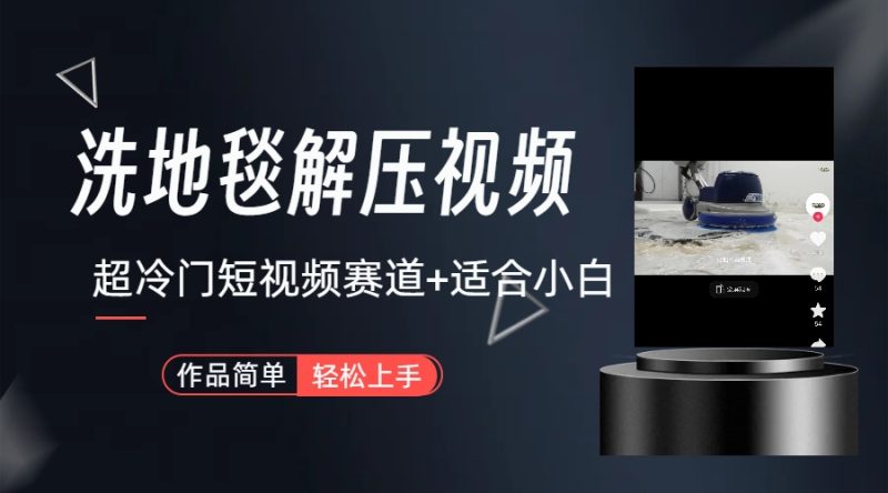 （6938期）超冷门抖音短视频赛道-清洗地毯解压视频-简单无脑怼作品（教程+素材）-副业网
