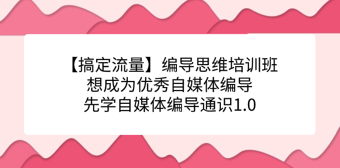 （7281期）【搞定流量】编导思维培训班，想成为优秀自媒体编导先学自媒体编导通识1.0-副业网