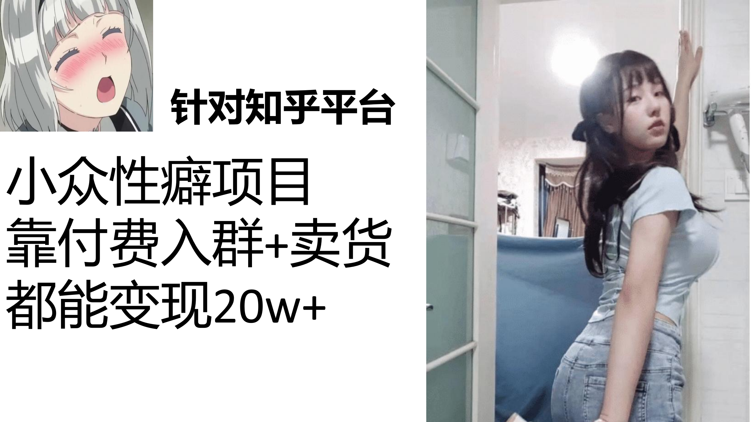 图片[1]-（7291期）知乎小众性癖项目，Lsp的钱才是最好赚的，付费建群+卖货变现20w-副业网