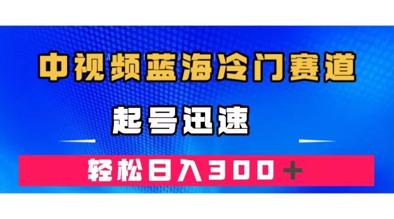 （7449期）中视频蓝海冷门赛道，韩国视频奇闻解说，起号迅速，日入300＋-副业网