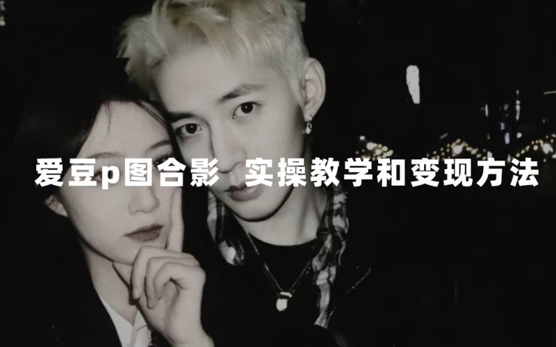 （7558期）最新玩法 与爱豆p图合照爆火  10分钟教会你 实操日入300+-副业网