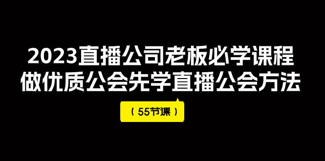 （7738期）2023直播公司老板必学课程，做优质公会先学直播公会方法（55节课）-副业网