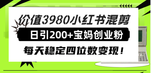 （7893期）价值3980小红书混剪日引200+宝妈创业粉，每天稳定四位数变现！-副业网