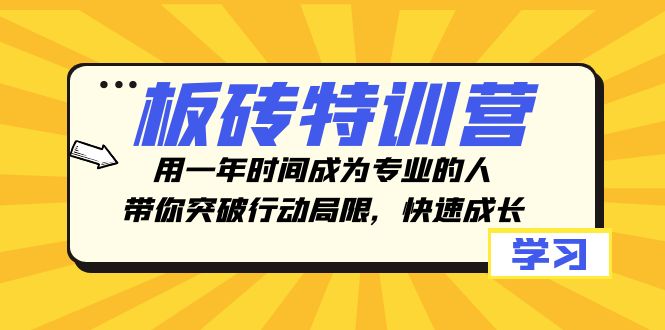 （8048期）板砖特训营，用一年时间成为专业的人，带你突破行动局限，快速成长-副业网