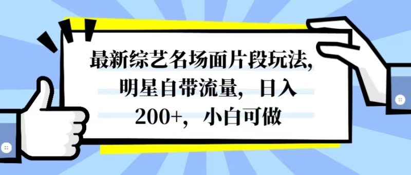 （8114期）最新综艺名场面片段玩法，明星自带流量，日入200+，小白可做-副业网