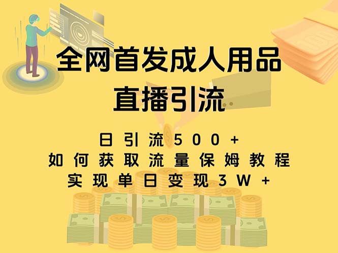 （8193期）最新全网独创首发，成人用品直播引流获客暴力玩法，单日变现3w保姆级教程-副业网