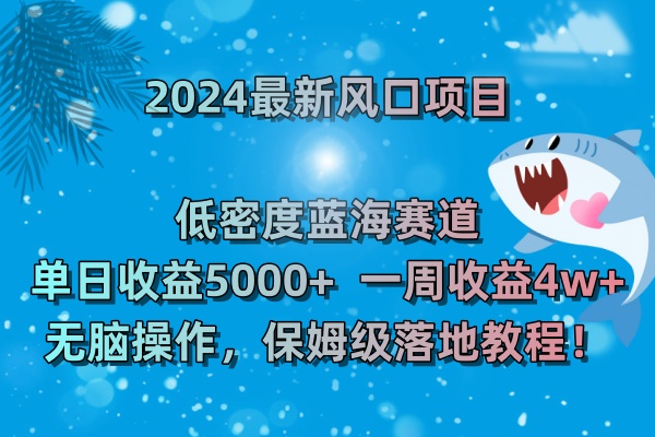 （8545期）2024最新风口项目 低密度蓝海赛道，日收益5000+周收益4w+ 无脑操作，保…-副业网