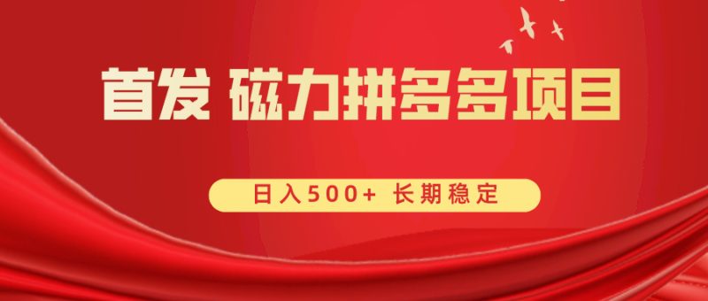 （8611期）首发 磁力拼多多自撸  日入500+-副业网