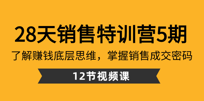 （8659期）28天·销售特训营5期：了解赚钱底层思维，掌握销售成交密码（12节课）-副业网