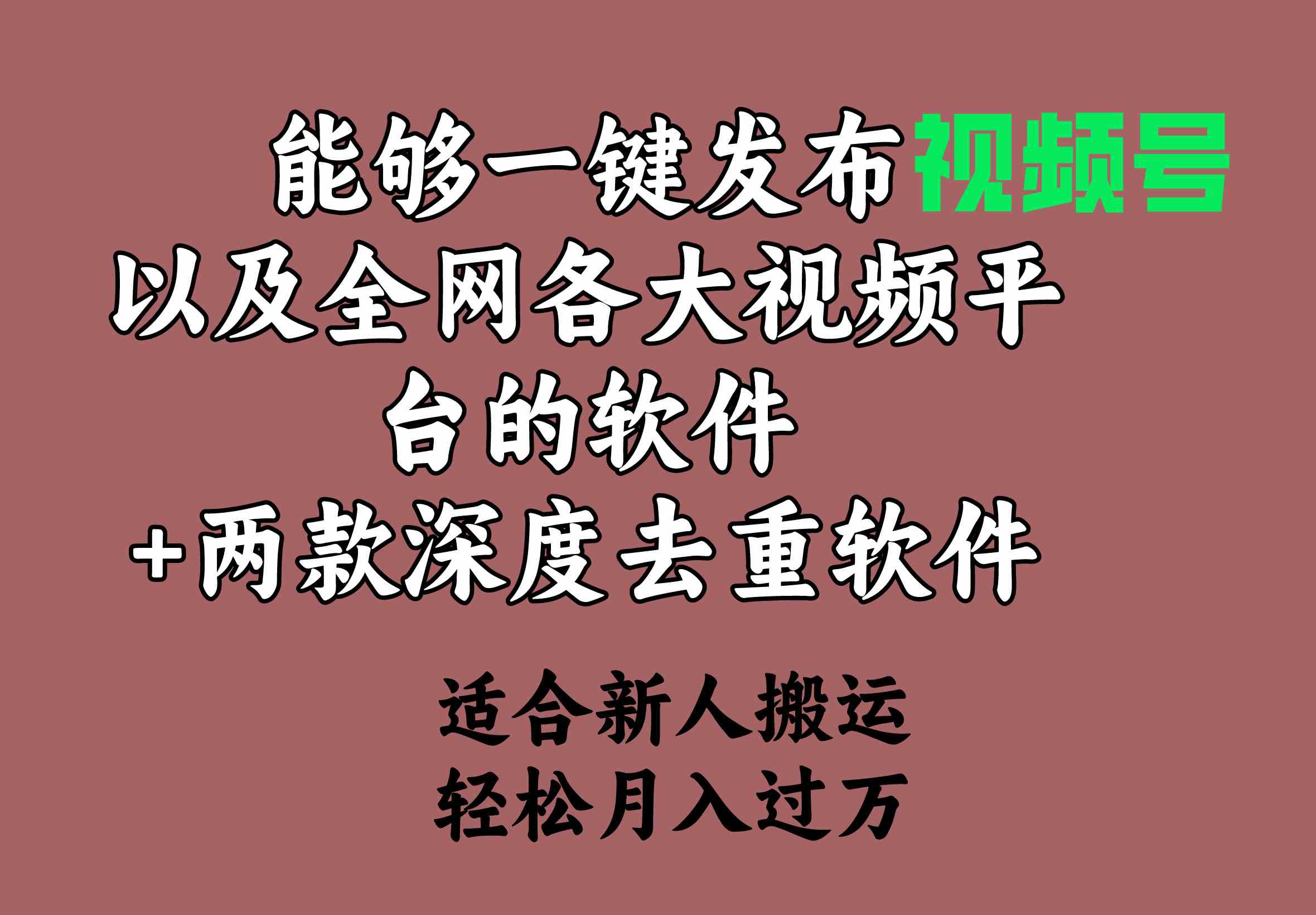图片[1]-（9319期）能够一键发布视频号以及全网各大视频平台的软件+两款深度去重软件 适合…-副业网