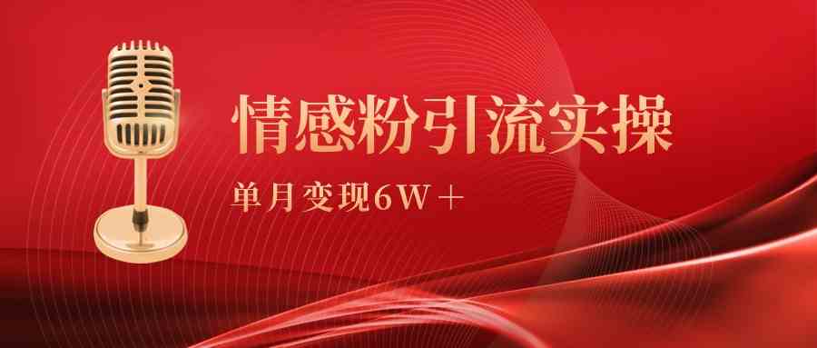 图片[1]-（9473期）单月变现6w+，情感粉引流变现实操课-副业网