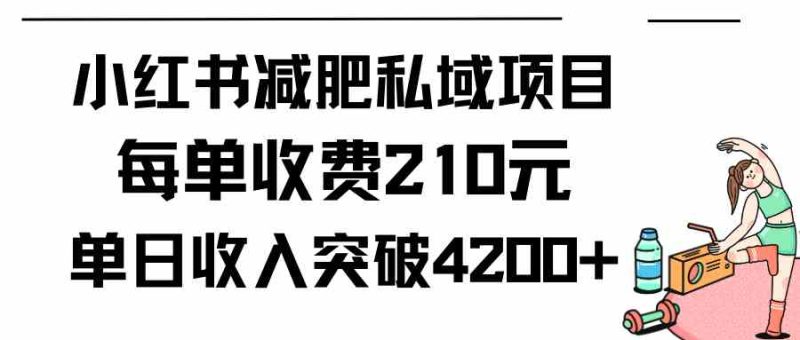 （9466期）小红书减肥私域项目每单收费210元单日成交20单，最高日入4200+-副业网