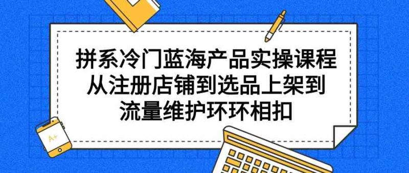 （9527期）拼系冷门蓝海产品实操课程，从注册店铺到选品上架到流量维护环环相扣-副业网