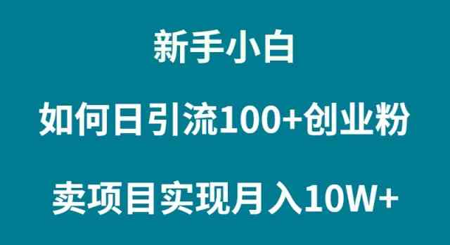 （9556期）新手小白如何通过卖项目实现月入10W+-副业网