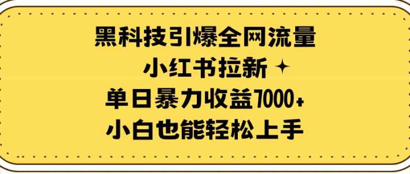 （9679期）黑科技引爆全网流量小红书拉新，单日暴力收益7000+，小白也能轻松上手-副业网