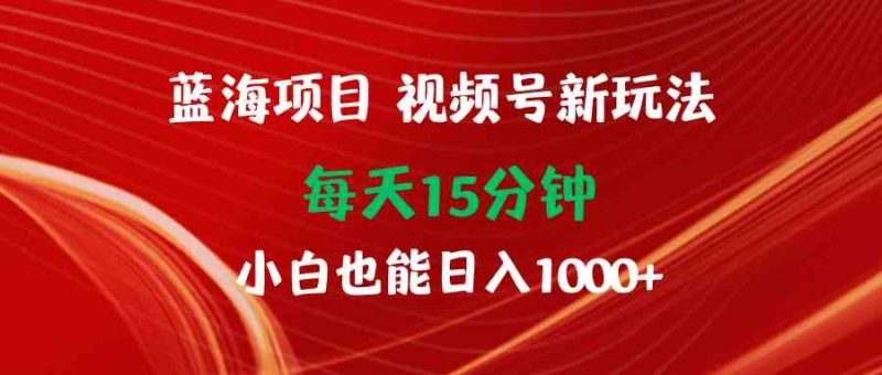 （9813期）蓝海项目视频号新玩法 每天15分钟 小白也能日入1000+-副业网